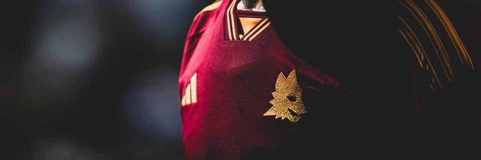 volpiins's profile banner image