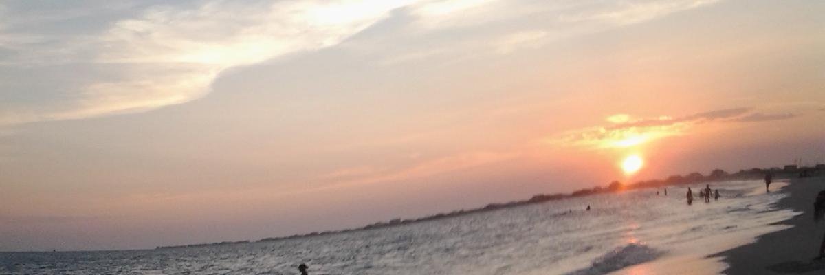 Watasci's profile banner image