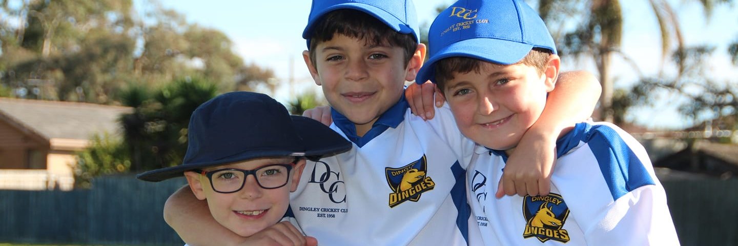 Dingley Cricket Club banner