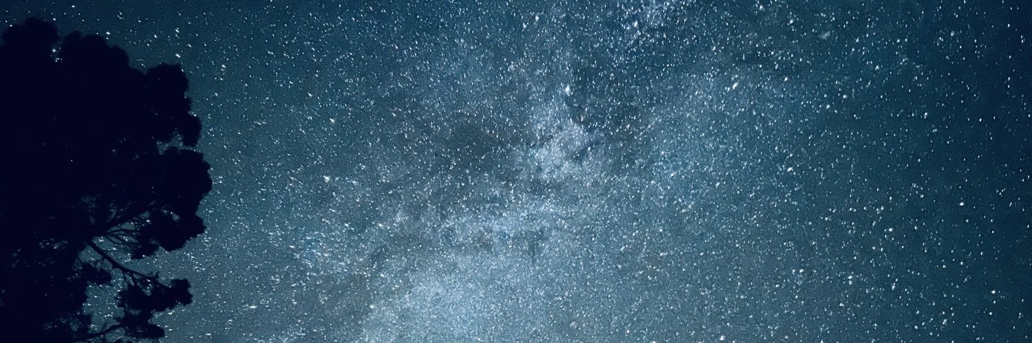 S banner