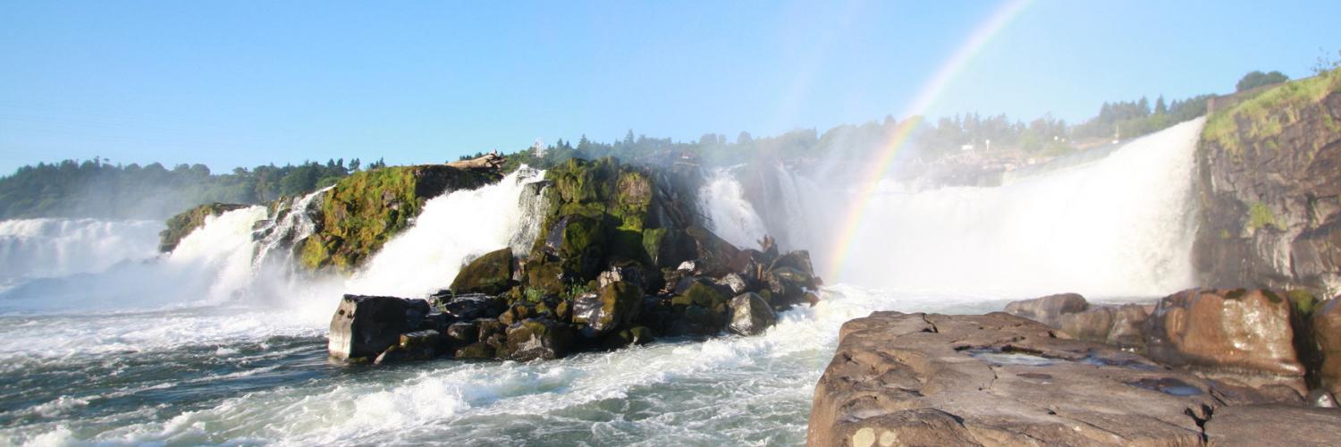 eNRGKayaking's profile banner image