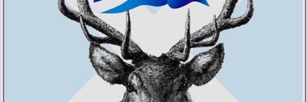 magjohnson511 Profile Banner