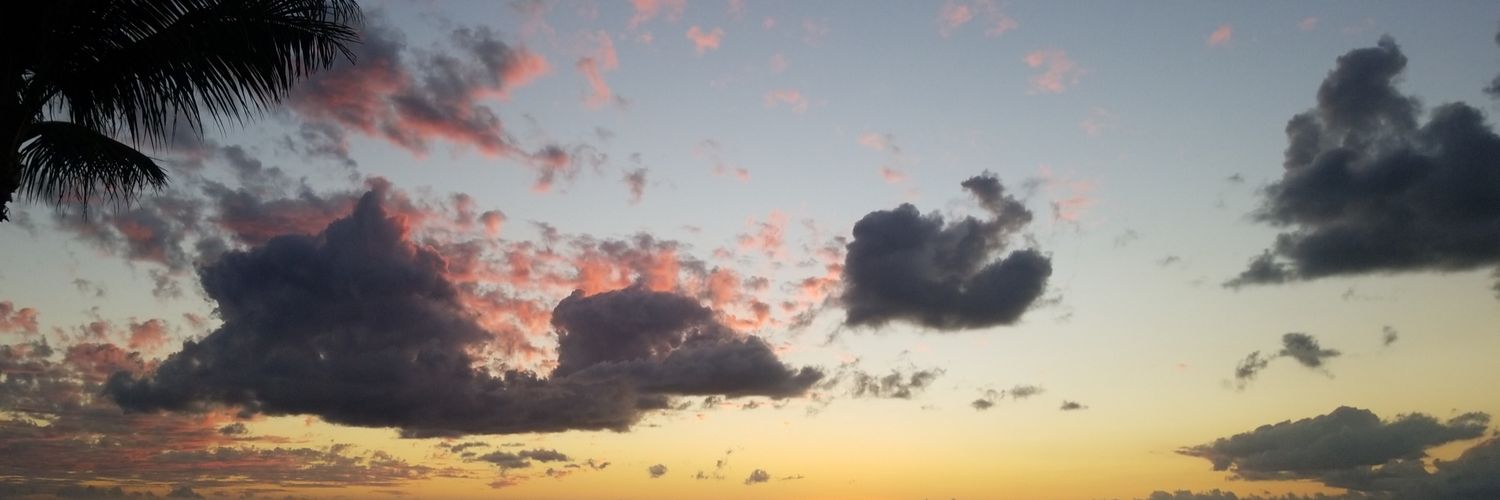 SarcasticIntent's profile banner image