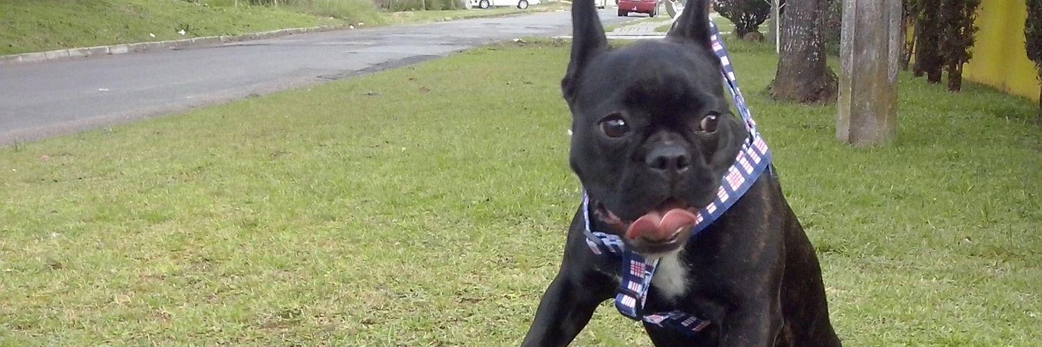 LucySpales's profile banner image