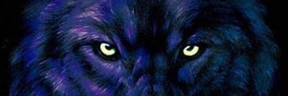 MelckWolf's profile banner image