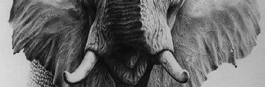 bezenga12's profile banner image