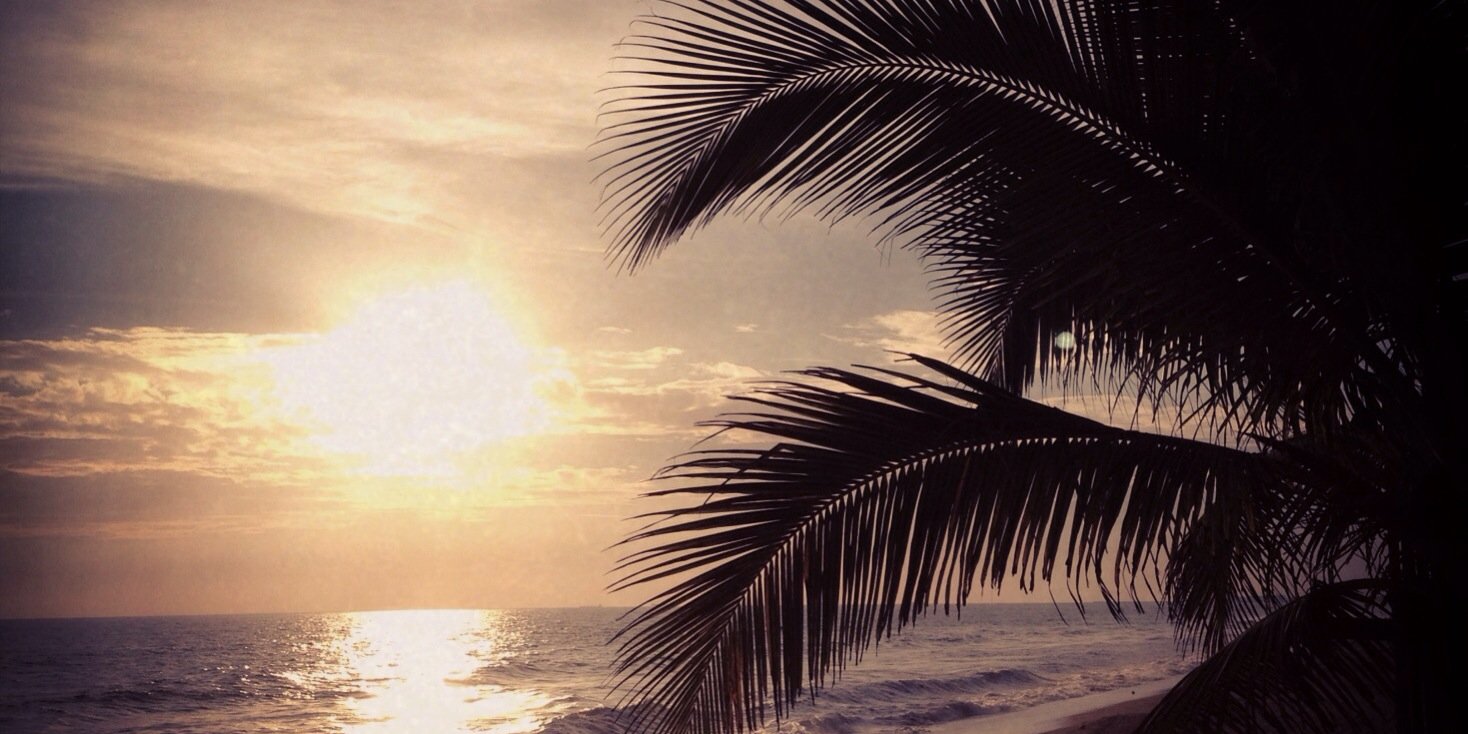 dee_ogoo's profile banner image