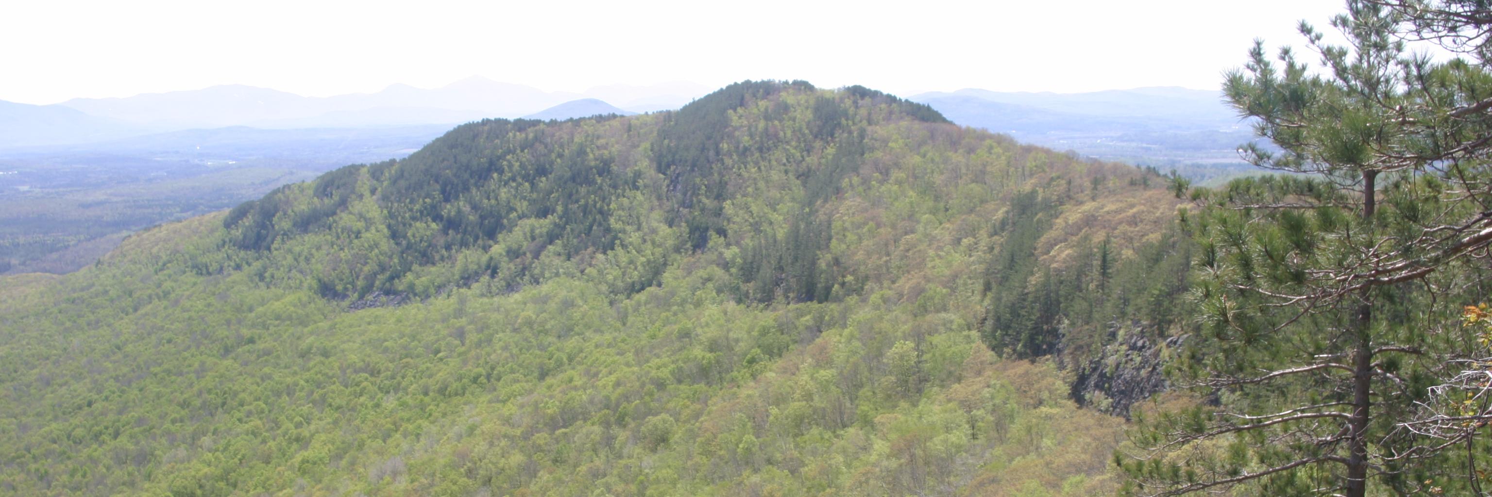 SwbaileyFs's profile banner image