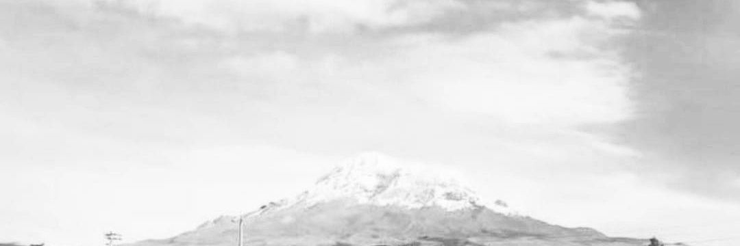 Charitovergara's profile banner image