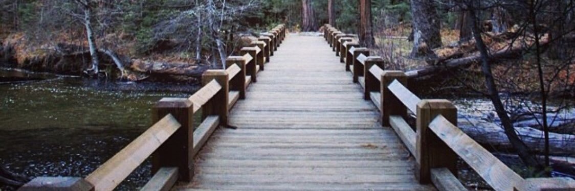 KarenT 🇺🇸 banner