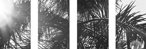 Malry11's profile banner image