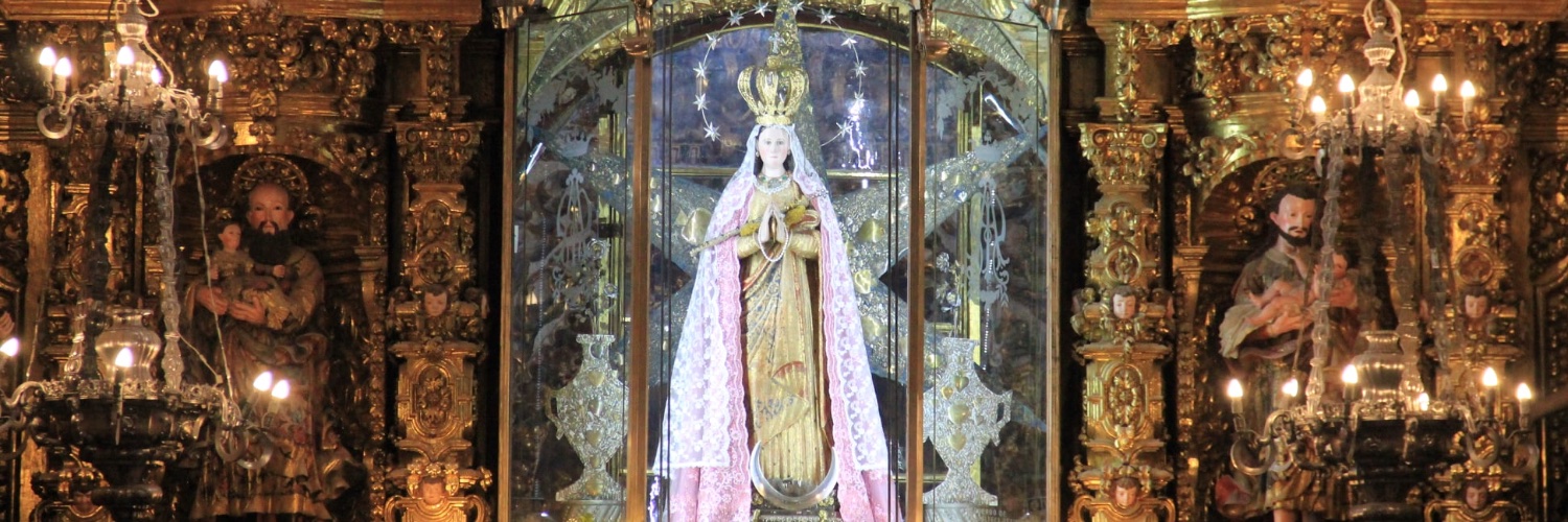 dioctlaxcala's profile banner image
