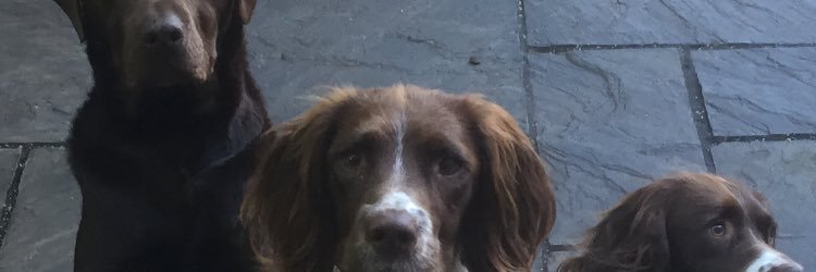 DerekRussell175's profile banner image