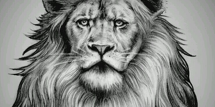 Jleo1319's profile banner image