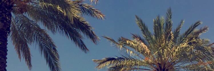 ashleyeames2899's profile banner image