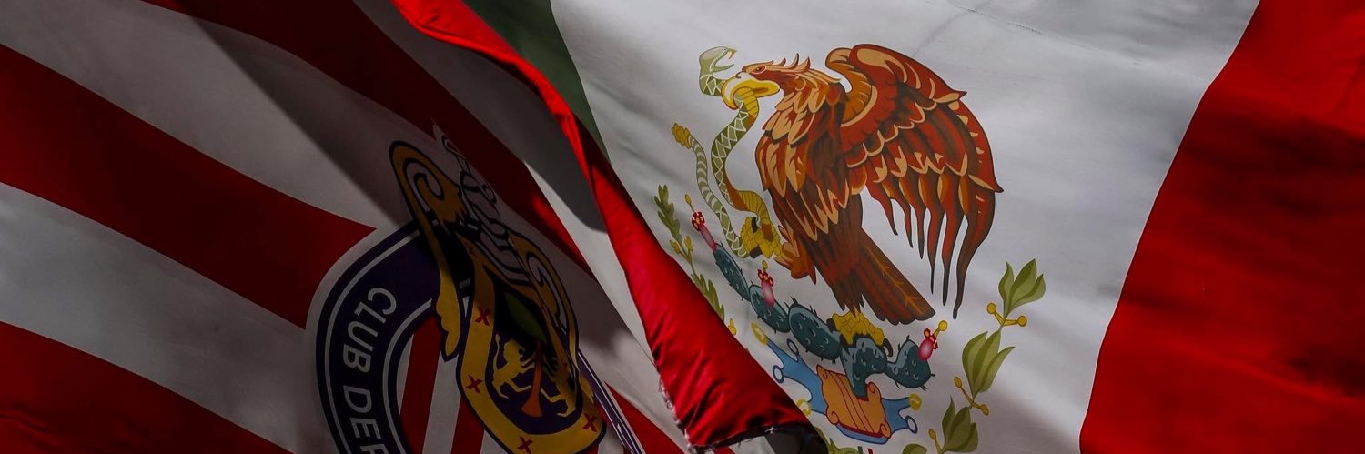 Lic. Rigolazo®️ banner