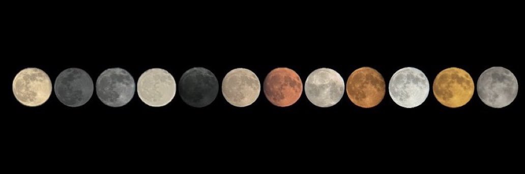 Winnieeuniverse's profile banner image
