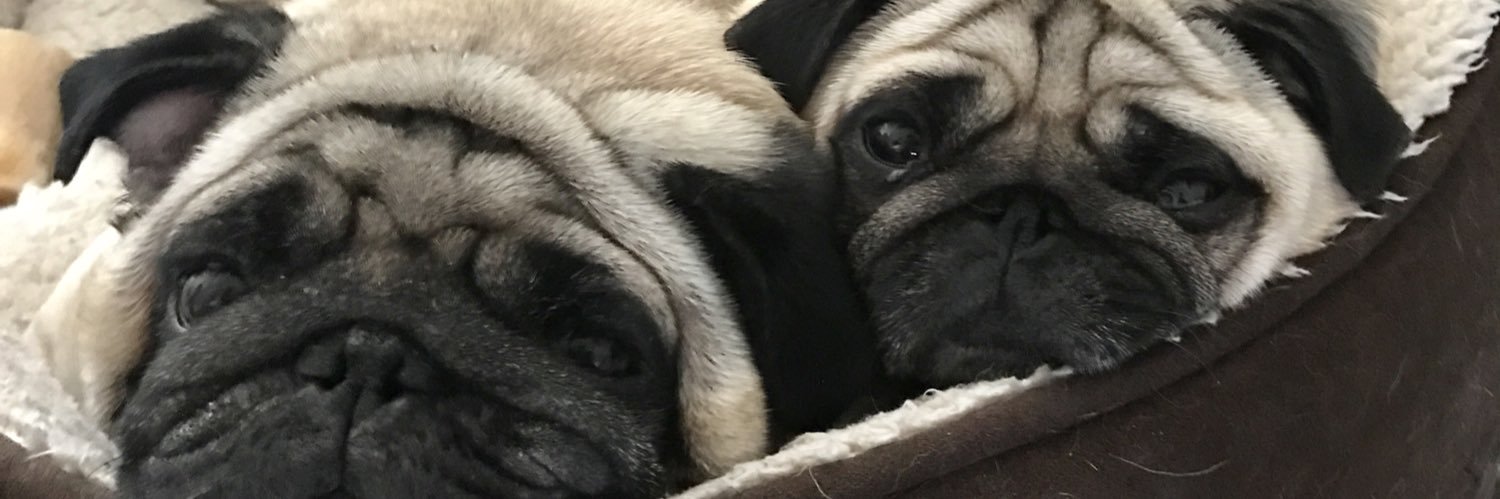 Keeks banner