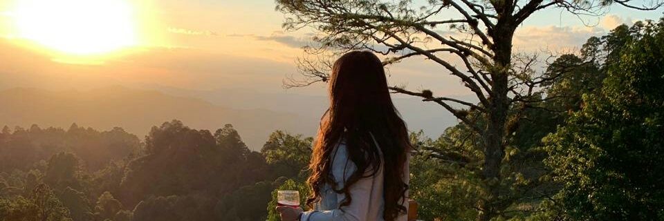 Sarah_Moncada's profile banner image