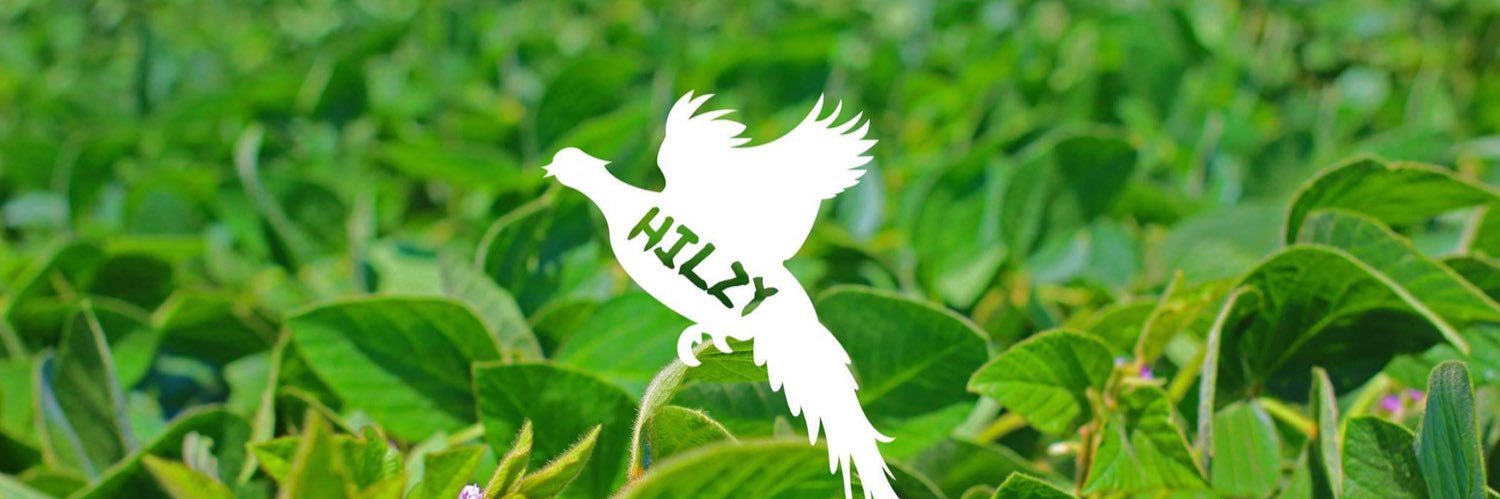 hilzyeah's profile banner image