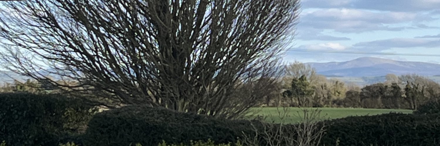 PaulaOConnor's profile banner image