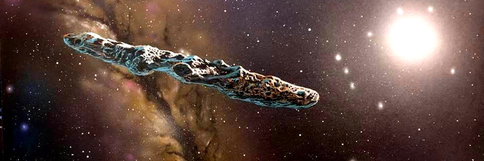 kimberly reck banner