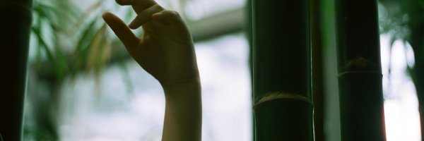 Kaytylerrrr's profile banner image