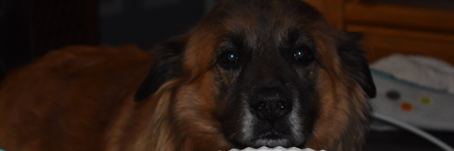 Simms_Joe's profile banner image