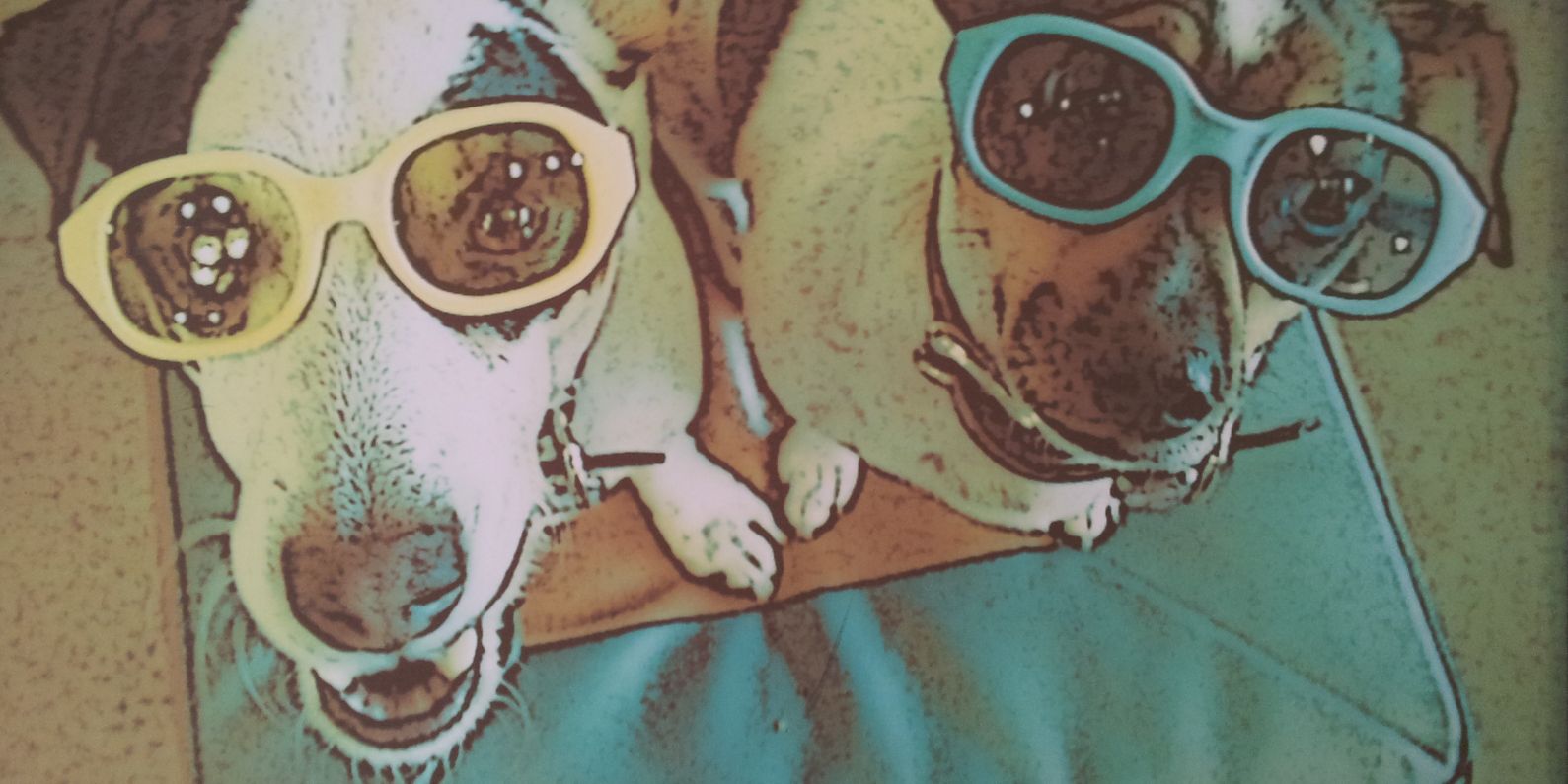 doguru's profile banner image