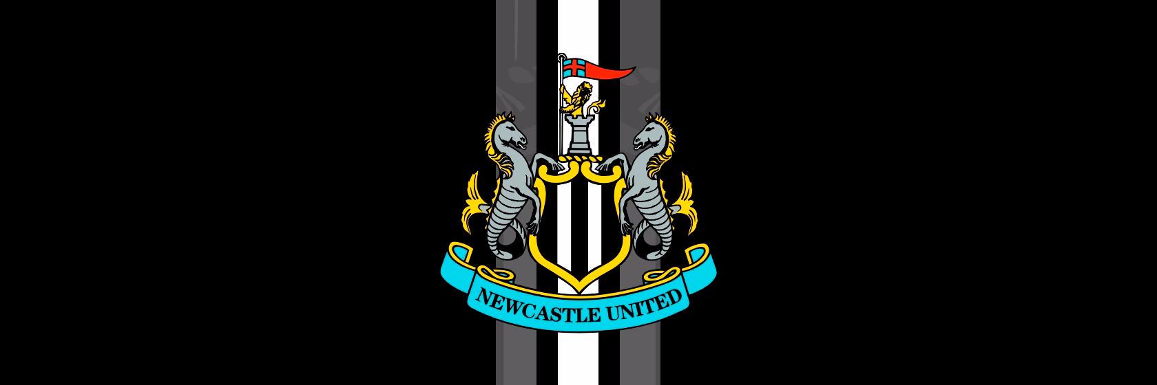 Toon Army MN banner