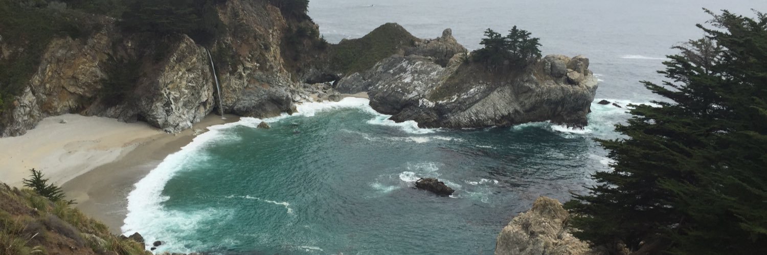 Young Bull 🐂 banner