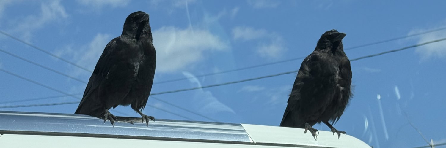 haleybock's profile banner image