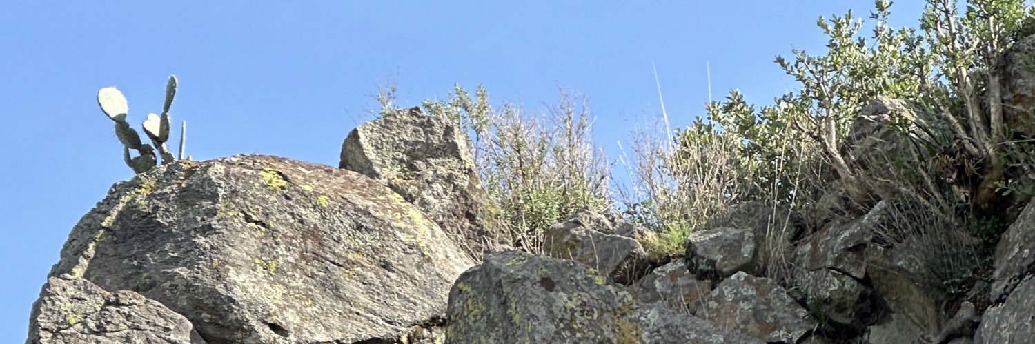 César ☕️ banner