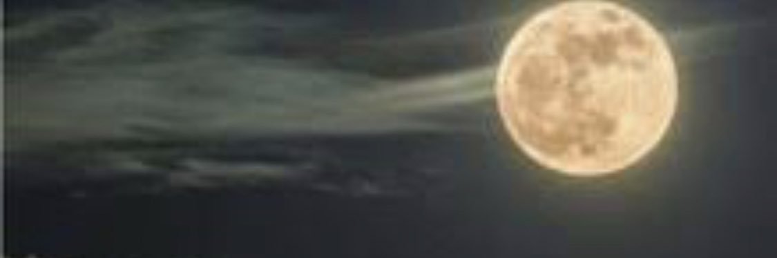 fmgalindo's profile banner image