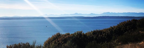 ashley050h Profile Banner