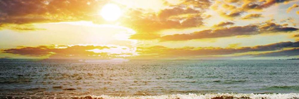 MarisCaroline's profile banner image