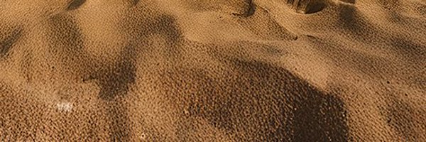 DreambeachFest Profile Banner