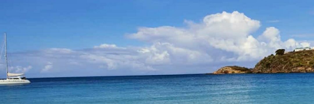 SharonJacksonAN's profile banner image