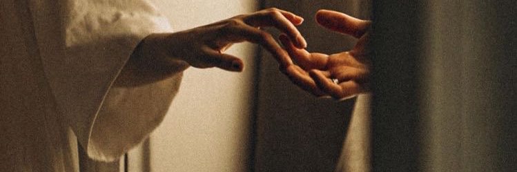 wxllslt's profile banner image