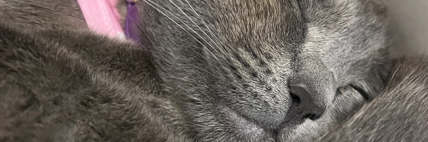 aurasophya's profile banner image
