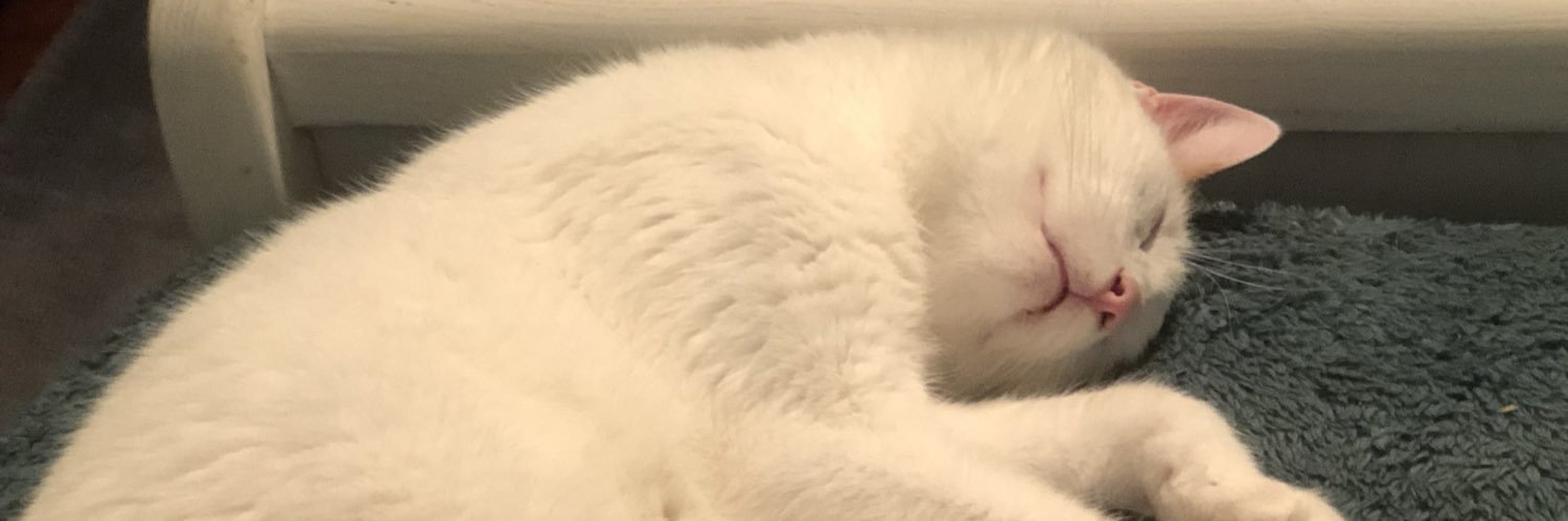 DreamingJess7's profile banner image