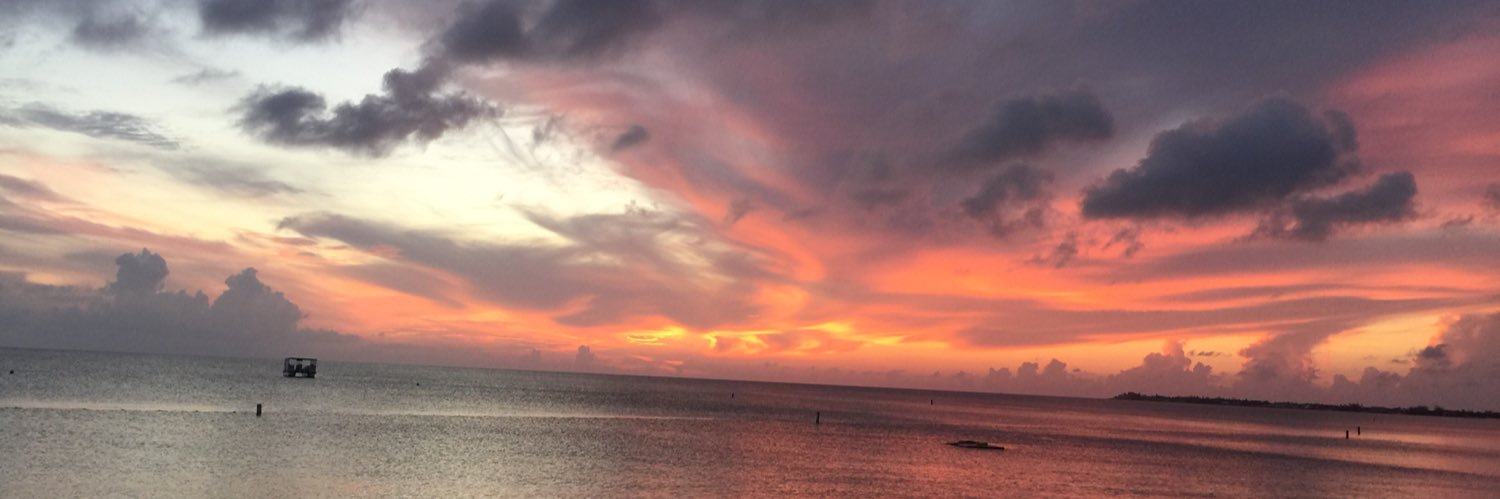 Toni_Capp's profile banner image