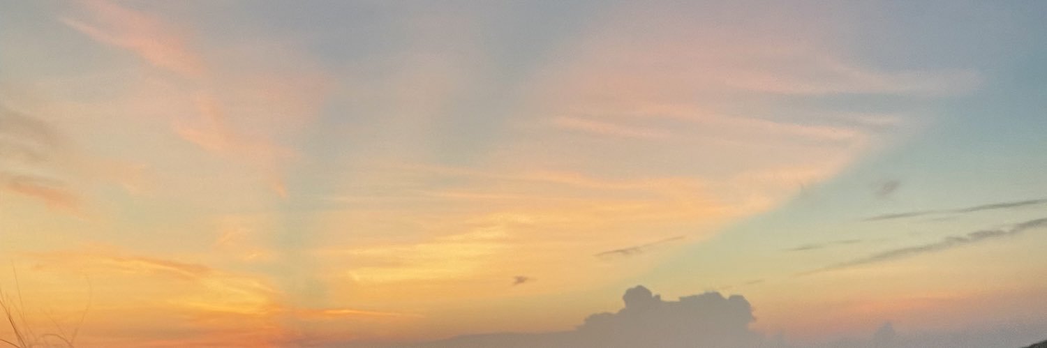 AnissaAzis's profile banner image