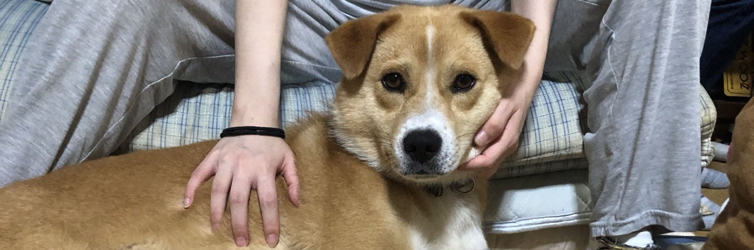 daisukeape's profile banner image