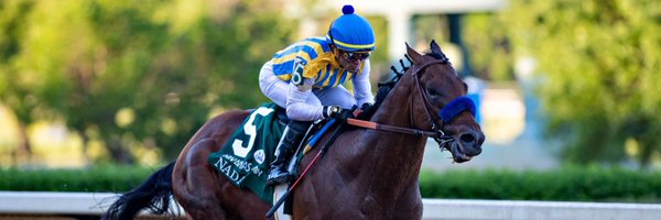 ArthurHoyeau Profile Banner