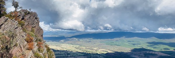 LauraCWirth Profile Banner