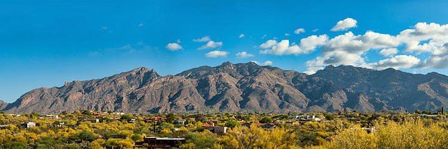 Gab/b/i Schivone banner