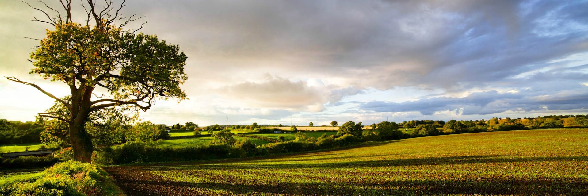 Rationalist44 banner