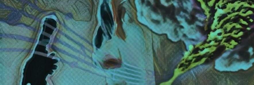 Hackabilly's profile banner image
