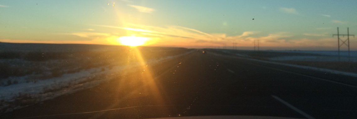 Erin McCready banner